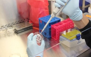 Американские ученые обнаружили новое антитело против COVID-19