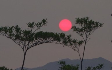 Розовая Луна. На этой неделе украинцы смогут увидеть необычное явление в небе