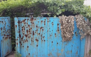 За два роки на Донбасі було шість "іловайських котлів" - волонтер Діана Макарова