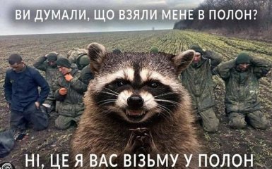 Херсонський єнот Толік помстився Сальдо — відео