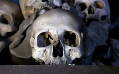 Людські черепи