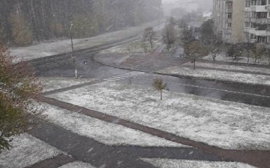 Первый снег выпал в Киеве: появились фото и видео