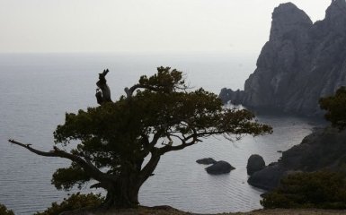 У Раді пропонують карати позбавленням волі за невизнання Криму і Донбасу частинами України