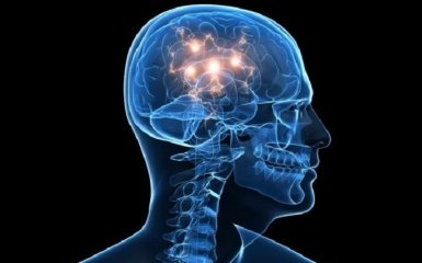 Вчені виявили в голові людини "GPS"