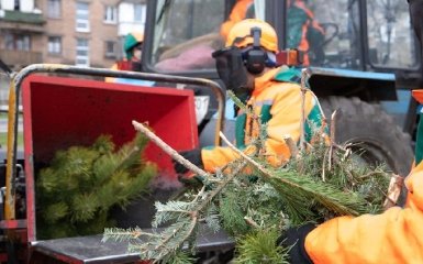 В Киеве откроют пункты переработки елок. Список адресов и время работы