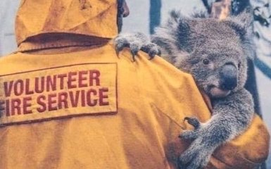 Справжнє пекло на Землі: мільйони тварин гинуть в пожежах Австралії
