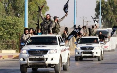ИГИЛ планировал гражданскую войну в Турции - СМИ
