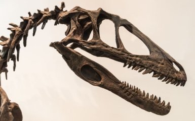 Ученые открыли новый вид хищных динозавров - как тот выглядел
