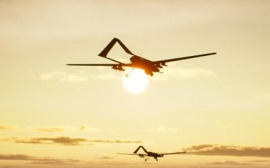 Бавовна в Москве - что известно