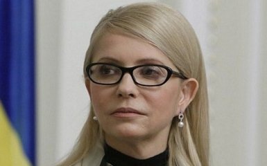 Як у княгині: в декларації Тимошенко знайшли цікаву деталь