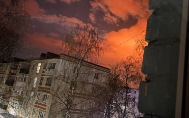 бавовна