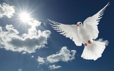 Благовещение-2018: главные традиции и оригинальные поздравления