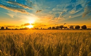 Не Путин, а "измена": западные СМИ о самой большой проблеме украинцев