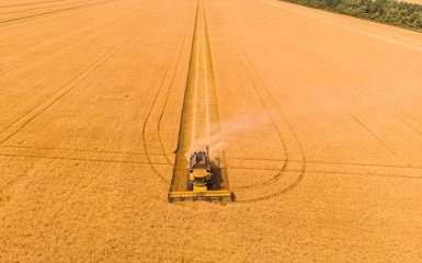 Пять стран ЕС хотят продлить запрет на импорт зерна из Украины. В МИД отреагировали