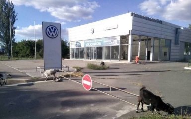 В сети одним фото показали, во что Россия превратила Донбасс