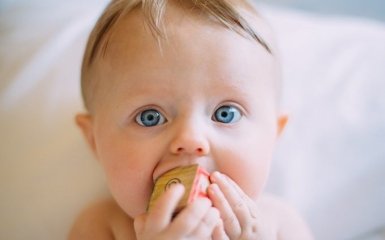 Журналісти дізналися нові деталі "економічного паспорту"