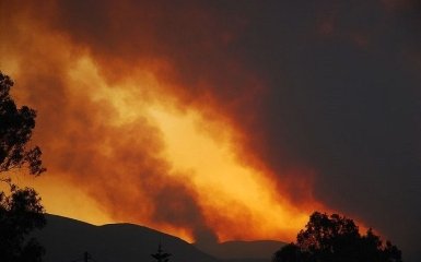 Смертельні пожежі у Греції - затримано підозрюваного в підпалах
