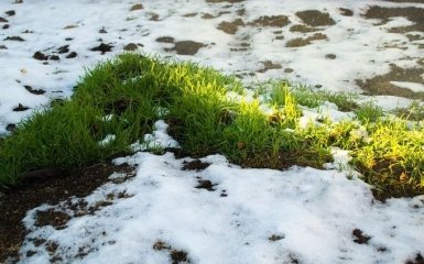 В Україні в розпал літа знову випав сніг - видовищні фото і відео