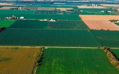 Подвійна приватизація землі. Мінагро надало дані про тисячі правопорушників