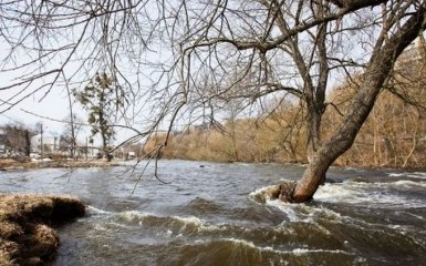 Потужний потоп на Закарпатті: опубліковане нове видовищне відео