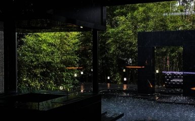 Необычное кафе в Сеуле