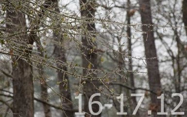 Прогноз погоды на выходные дни в Украине - 16-17 декабря