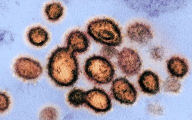 Він не зникне: відомий епідеміолог назвав головну помилку країн у боротьбі з COVID-19