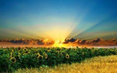 Не виглядати жебраком: Україні дали важливу пораду