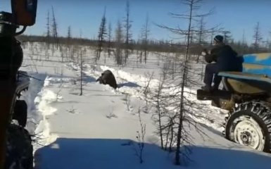 Моторошний ролик із росіянами, які чавлять ведмедя, обурив соцмережі