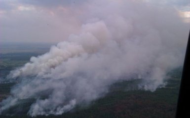 В Чернобыльской зоне пылает лес: появились подробности