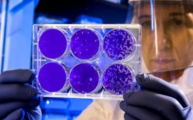 Штам коронавірусу Omicron стрімко поширюється світом