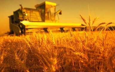 Россиянам не дадут приватизировать сельхозпредприятия