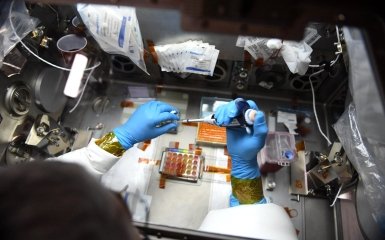 Выращивание стволовых клеток