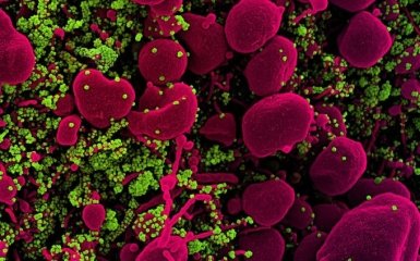 Він поводиться інакше - експерти вразили попередженням про COVID-19