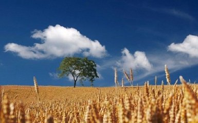 Рада підтримала ще один ключовий закон для земельної реформи