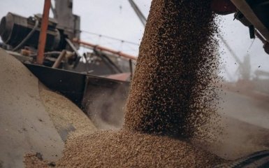 У Евросоюза пока нет средств на транзит зерна из Украины по суше — Reuters
