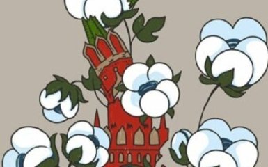 ГУР та "Повернись живим" запускають проєкт "Бавовна в Москві"