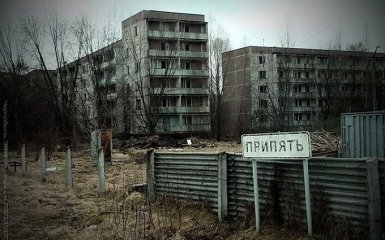 Эксперт рассказал о последствиях оккупации россиян в рыжем лесу во время оккупации Чернобыля