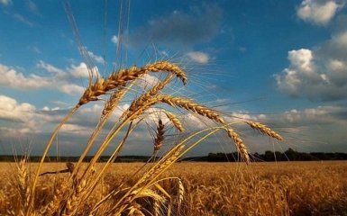 Стало відомо, скільки українці відпочиватимуть в серпні