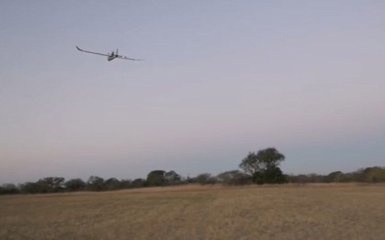 В Африке "умные" дроны пригодились в борьбе с браконьерами: появилось видео