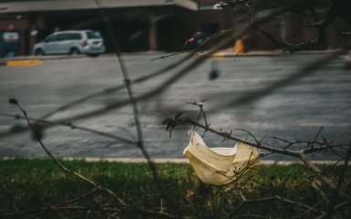 Ученые спрогнозировали будущее коронавируса на планете