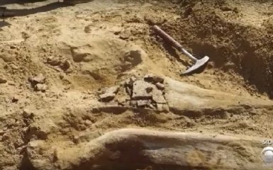 Останки динозавра віком 66 мільйонів років знайшли у США: з'явилося відео