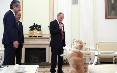 Путин "напугал" японцев своей собакой, в сети иронизируют: появились фото