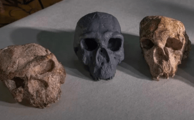 Що відомо про новий прорив у вивченні еволюції людини
