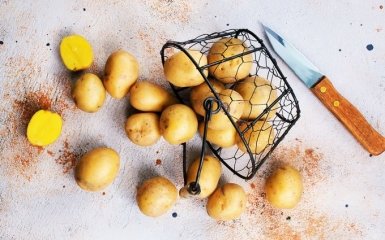 Картопля – чим корисний і шкідливий овоч