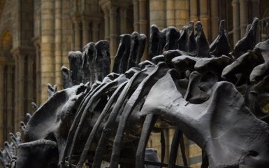 Ученые сообщили потрясающую новость о динозаврах - подробности