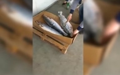 У Росії вже знищують продукти сокирами: опубліковано відео