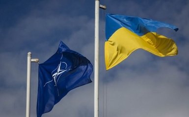В Україні спантеличили заявою про зброю НАТО: з'явилося відео