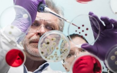 Украинские ученые доказали эффективность стволовых клеток в лечении коронавируса