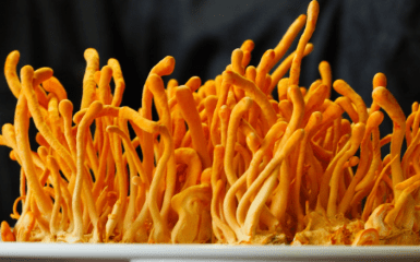 Лечебные свойства кордицепса: польза для человека